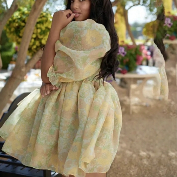 Floral Organza Babydoll Puff Dress - Picture 8 of 9